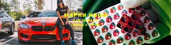 apvp Дмитриев