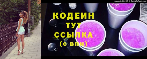 apvp Дмитриев