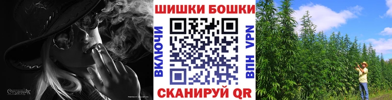 Купить  Лесной  Бошки Шишки гибрид 